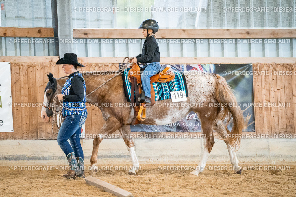 DSC00787 | Pferdegrafie