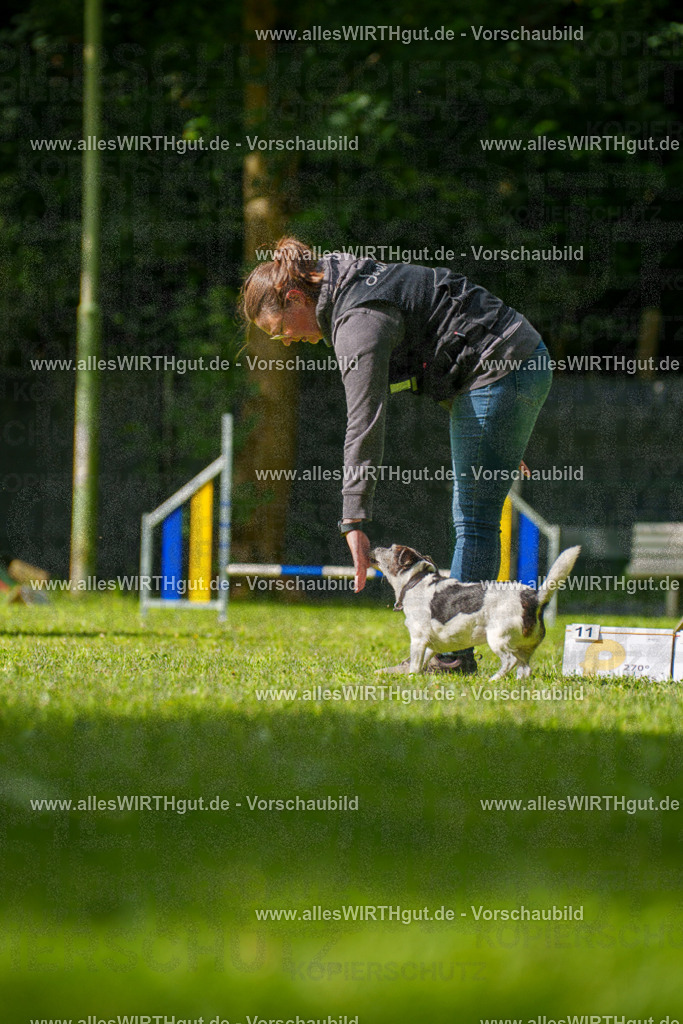 @allesWIRTHgut_Tierfotografie - www.allesWIRTHgut.de - 083117-7R506289 | Professionelle Tierfotografie in Mönchengladbach von Daniel Wirth (allesWIRTHgut). Liebevolle & natürliche Bilder von Hunden & Katzen für unvergessliche Erinnerungen.