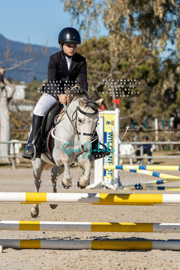 IMG_8737 | s-jay-photography - Realisiert mit Pictrs.com