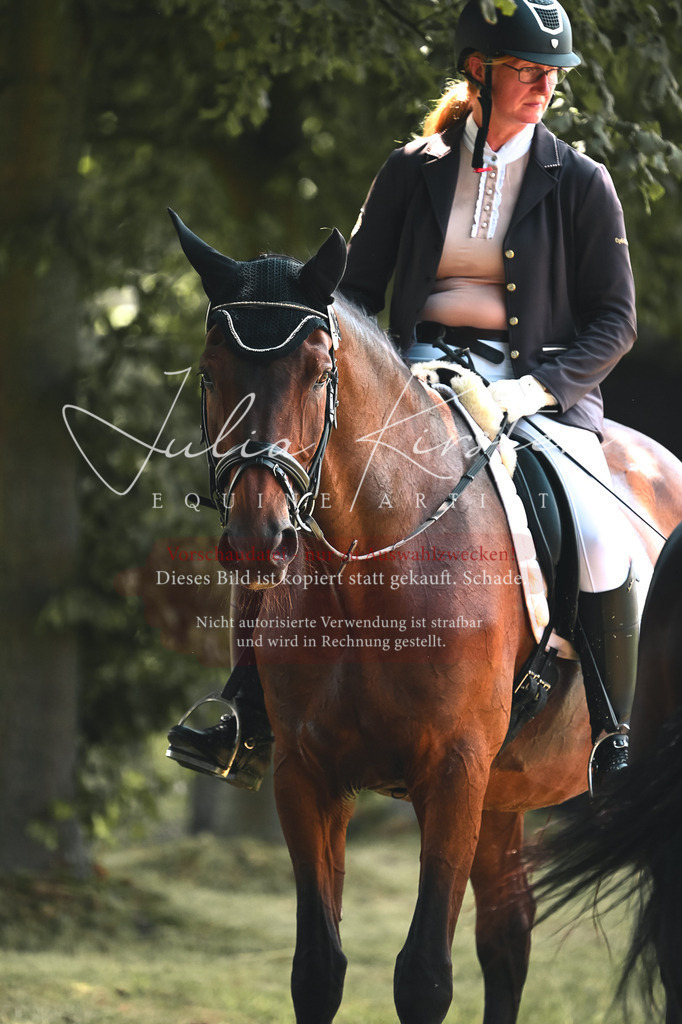 DSC_2756 | Pferde- und Turnierfotografie in Westsachsen. Pferdeportraits, Auftragszeichnungen und intuitive Kunst.