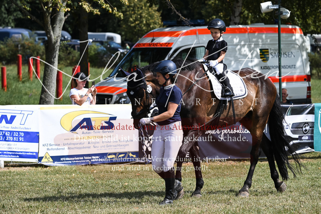 DSC_6783 | Pferde- und Turnierfotografie in Westsachsen. Pferdeportraits, Auftragszeichnungen und intuitive Kunst.