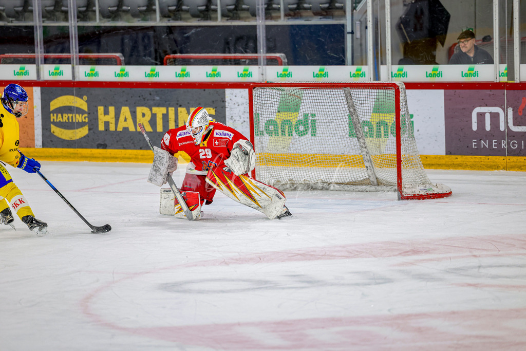 EHCB vs HCD-1089 | Sportbilder, Sportfotograf, Hochzeits- und Eventfotografin, Flugshows, Portraits und Tiershooting, Aviation, Downhill, Nationalleague, Swissleague, International