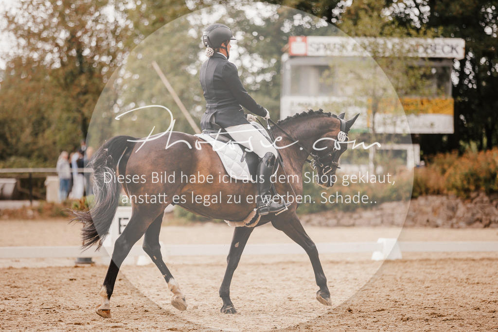 3I6A6362 | Stimmungsvolle Portraits und Reitsportfotografie im Ruhrgebiet und im Münsterland.

Pferdefotografie, Hundefotografie, Tierfotografie, Reportagen, Portraits von Tier und Mensch, Turnierfotografie in Bochum, Recklinghausen, Marl, Haltern am See, Dülmen.. - Realisiert mit Pictrs.com
