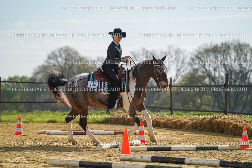 DSC01098 | Pferdegrafie