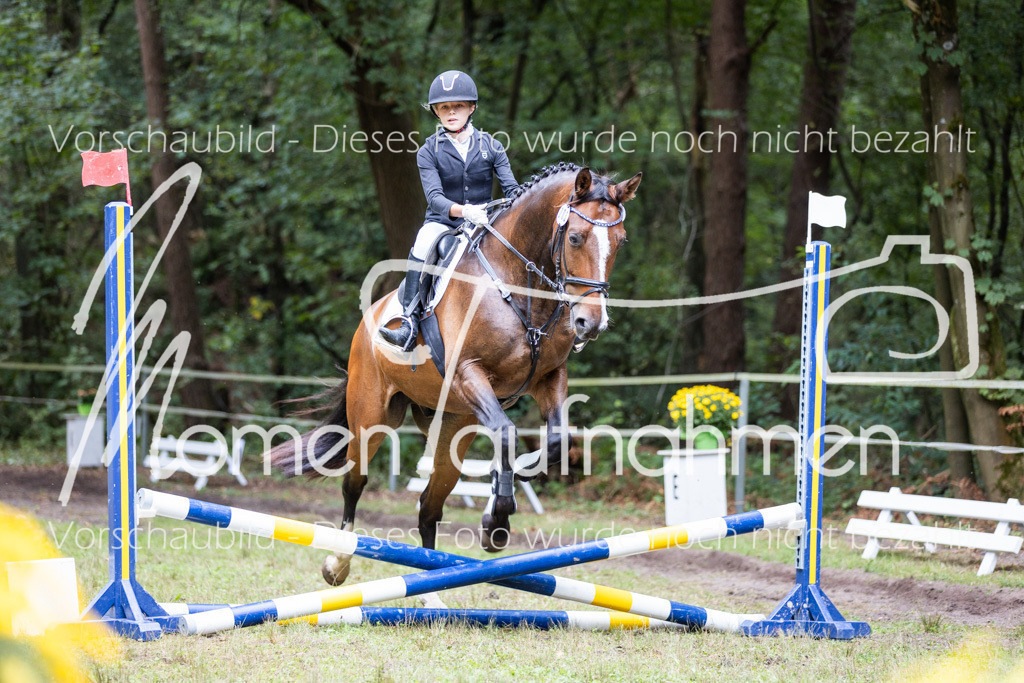 HB-Caprilli-010 | MomenTaufnahmen Pferdesportfotos