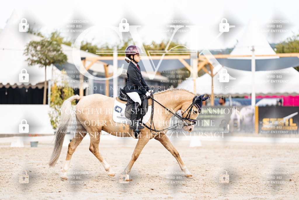 CK904660 | Turnierfotografie Pferdefotografie Trier Rheinland-Pfalz Pferdesport Reitsport Tierfotografie Sportfotografie Pferdevideo Pferdevideografie Equestrianvideography equestrianphotography  - Realisiert mit Pictrs.com