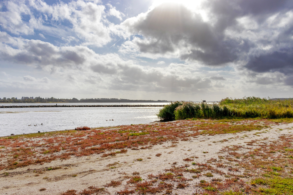 Wandbild: Schleistrand in Arnis in schöner Lichtstimmung | Dieses Wandbild im Querformat zeigt den Schleistrand in Arnis in schöner Lichtstimmung. Einzelne Sonnenstrahlen scheinen durch eine dichtere Bewölkung auf den Strand.  - Realisiert mit Pictrs.com