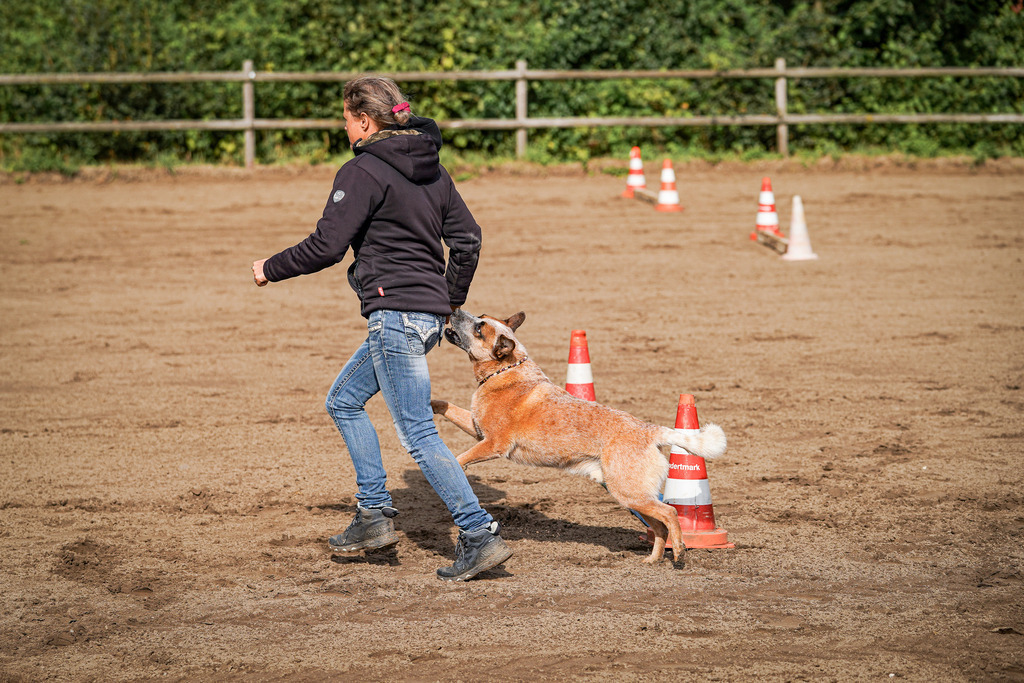 DSC00229 | Pferdegrafie