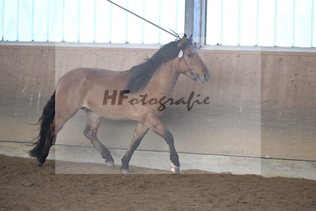 Kat-Nr. 12 Tapadero v. Tape Isidoro_Seefried_49250456 | hf-fotografie - Realisiert mit Pictrs.com