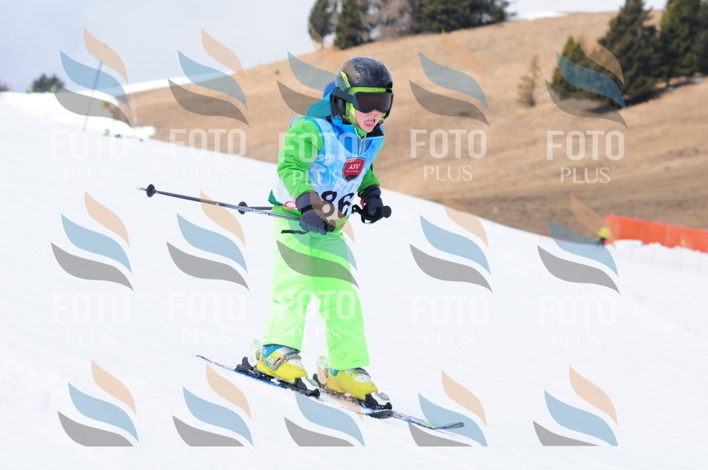 A3762 | holidayphoto