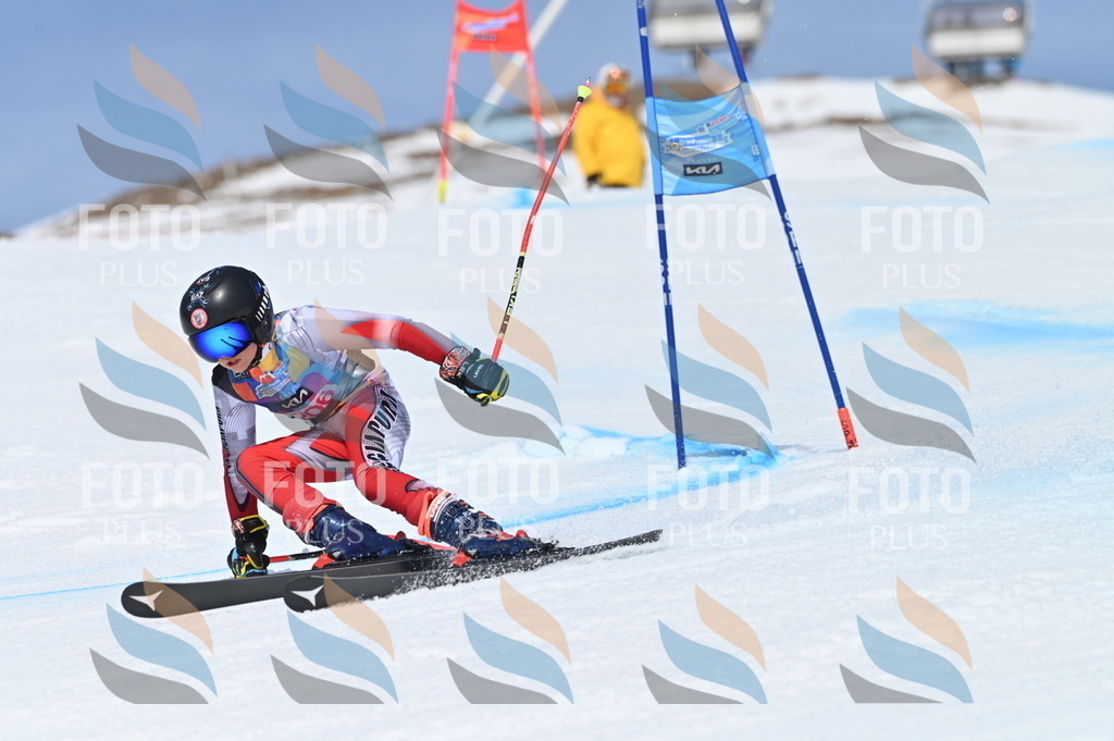 BGV_1079 | holidayphoto