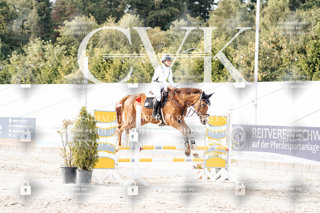 CK906938 | Turnierfotografie Pferdefotografie Trier Rheinland-Pfalz Pferdesport Reitsport Tierfotografie Sportfotografie Pferdevideo Pferdevideografie Equestrianvideography equestrianphotography  - Realisiert mit Pictrs.com