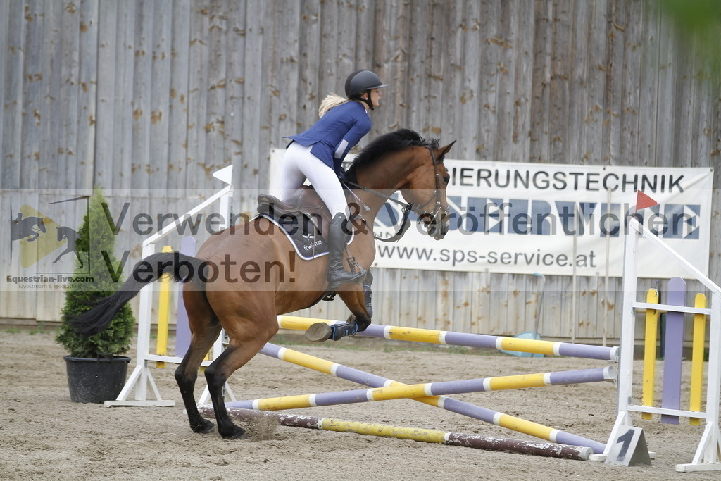 _MG_1033 | equestrian-live-com
