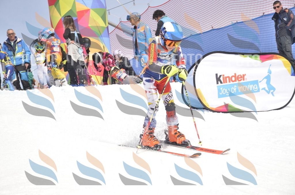 _ELE8884 | holidayphoto