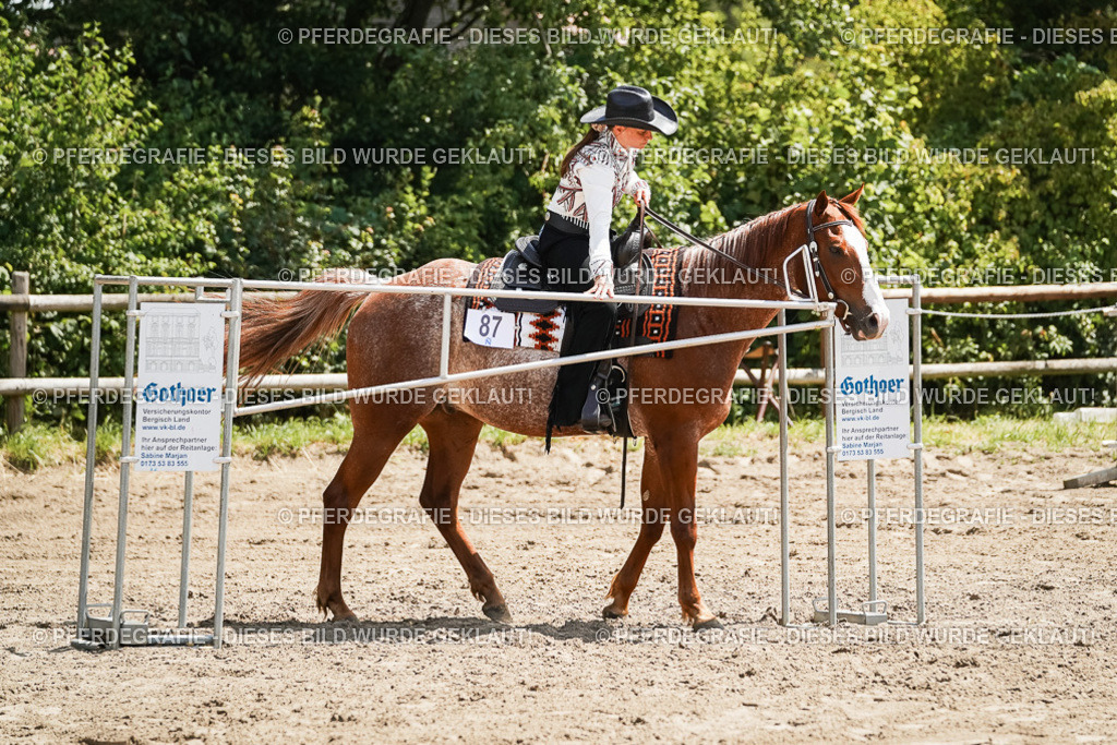 DSC07749 | Pferdegrafie