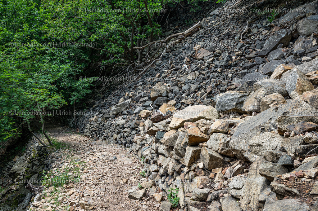 10049-13246 - Im Bodetal bei Thale | Stockfoto und Bilderpool mit Bildmaterial aus Deutschland, dem Harz, Halberstadt, Quedlinburg, Wernigerode und weltweit. Qualitativ hochwertige und professionelle Fotos anschauen und kaufen. - Realisiert mit Pictrs.com