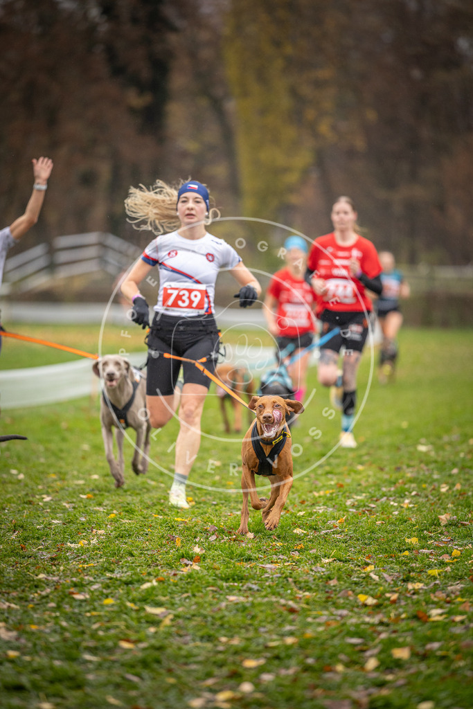 CaniXpix_DV3A9342 | Hundefotografie, Tierfotograf, Pfotenfotografie, Fotoshooting Hund, Hunde Portrait, Hundesport, Hundeportraits, Heideshooting, Hunde, Sportfotograf, Hundefotograf, Turnierhundsport, THS,  - Realisiert mit Pictrs.com
