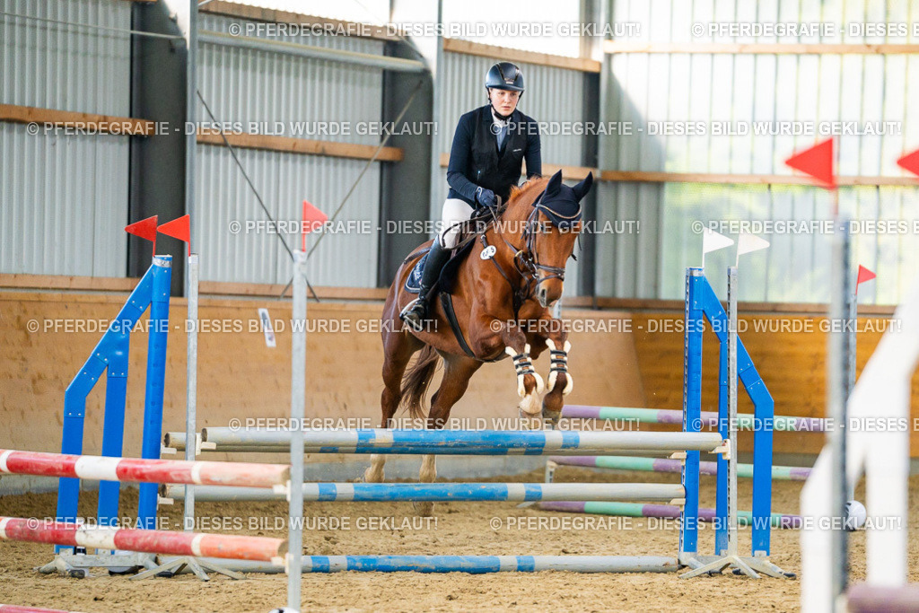 DSC00791 | Pferdegrafie