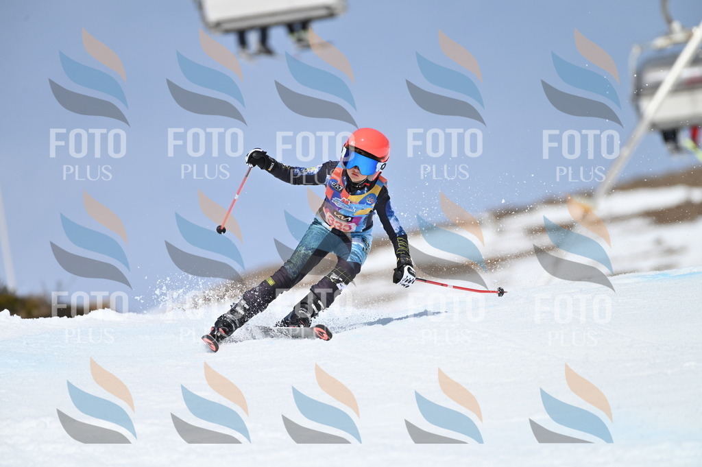 BGV_3331 | holidayphoto