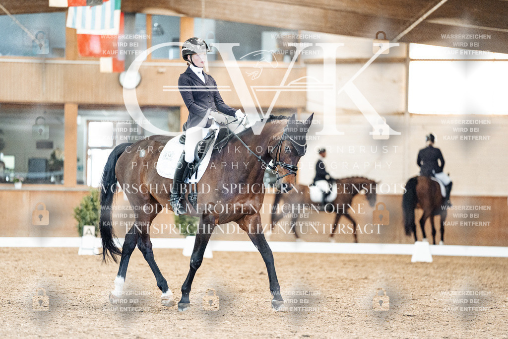 CK909225 | Turnierfotografie Pferdefotografie Trier Rheinland-Pfalz Pferdesport Reitsport Tierfotografie Sportfotografie Pferdevideo Pferdevideografie Equestrianvideography equestrianphotography  - Realisiert mit Pictrs.com