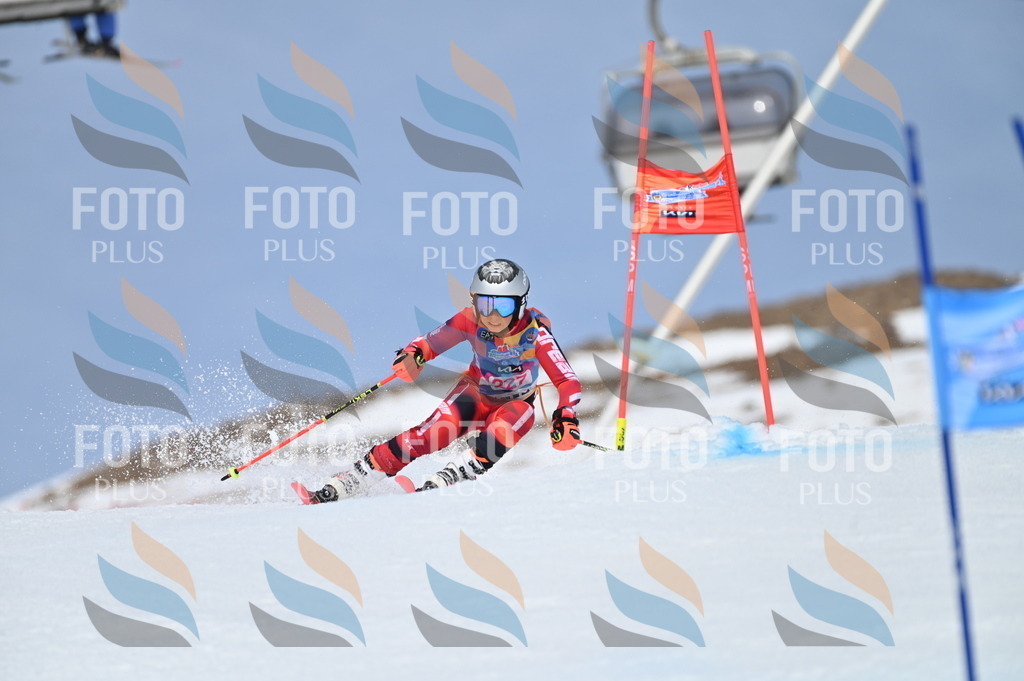 BGV_1427 | holidayphoto