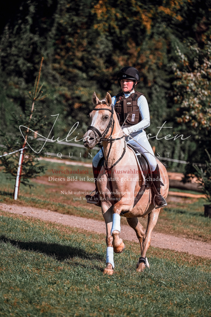 DSC_1137 | Pferde- und Turnierfotografie in Westsachsen. Pferdeportraits, Auftragszeichnungen und intuitive Kunst.