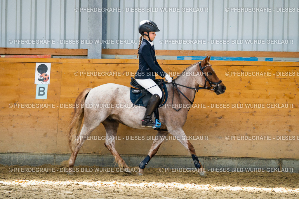 DSC02271 | Pferdegrafie