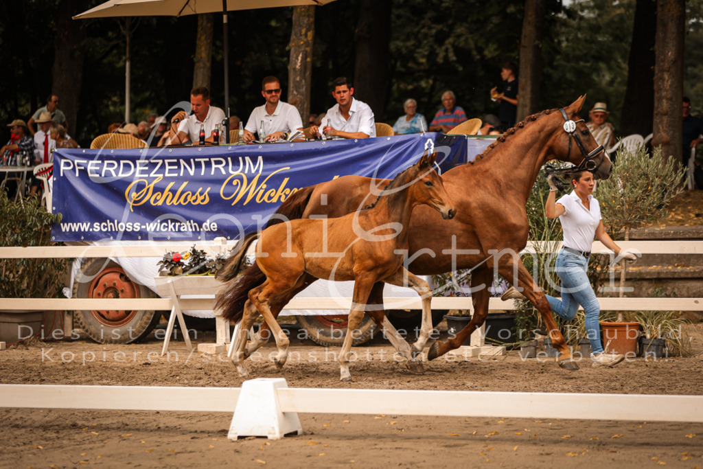 SaPA00179 | Leoni Ertmer Photography - Realisiert mit Pictrs.com