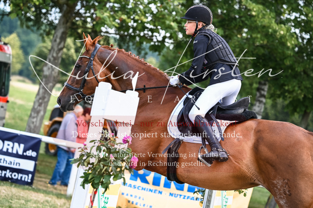 DSC_8454 | Pferde- und Turnierfotografie in Westsachsen. Pferdeportraits, Auftragszeichnungen und intuitive Kunst.