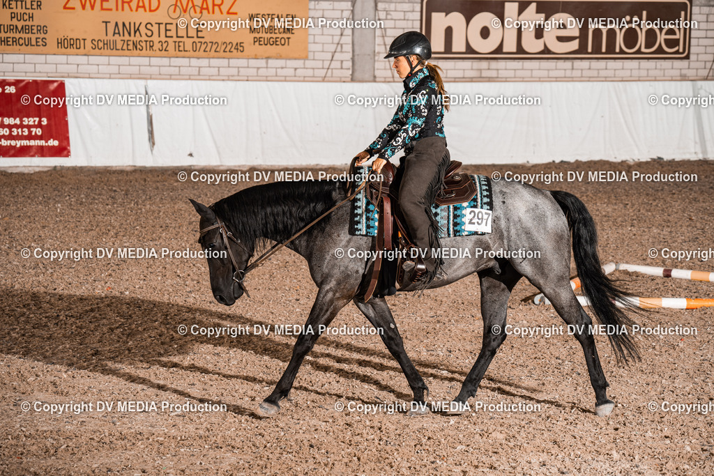 ZH200541 | dv-media-shop - Realisiert mit Pictrs.com