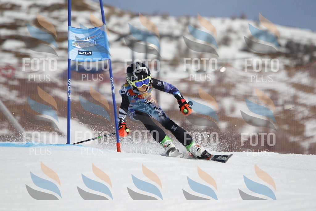 _U3G0908 | holidayphoto