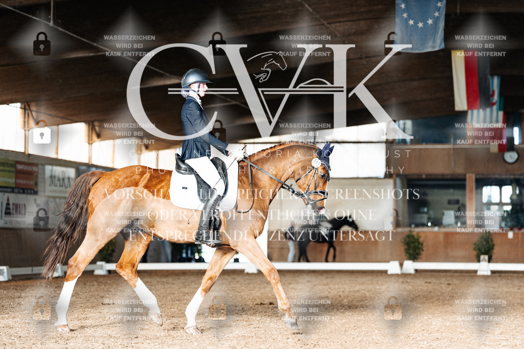 CK903250 | Turnierfotografie Pferdefotografie Trier Rheinland-Pfalz Pferdesport Reitsport Tierfotografie Sportfotografie Pferdevideo Pferdevideografie Equestrianvideography equestrianphotography  - Realisiert mit Pictrs.com