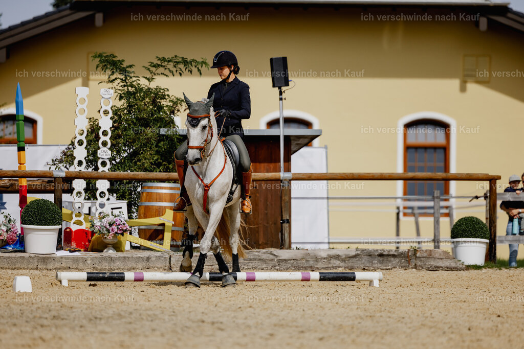 Svea13FHC2025-20479 | working equitationturnier fotograf videograf stoibphotography marixx film working equitation deutschland reitsport turnierfotografie eventfotografie equestrian events