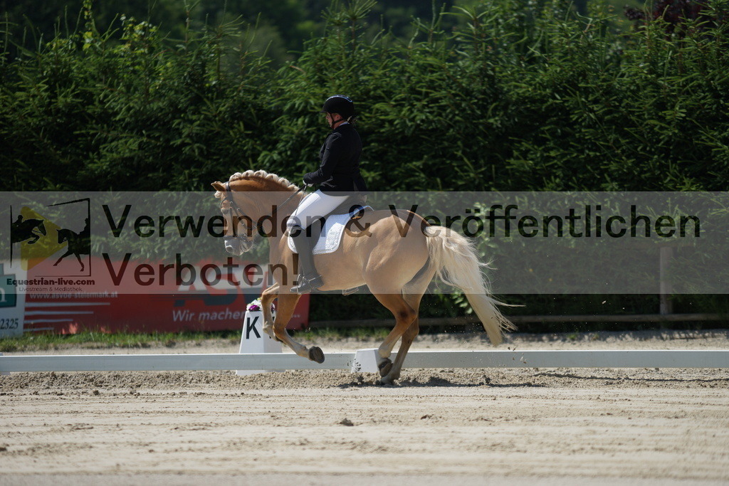 DSC02230 | equestrian-live-com