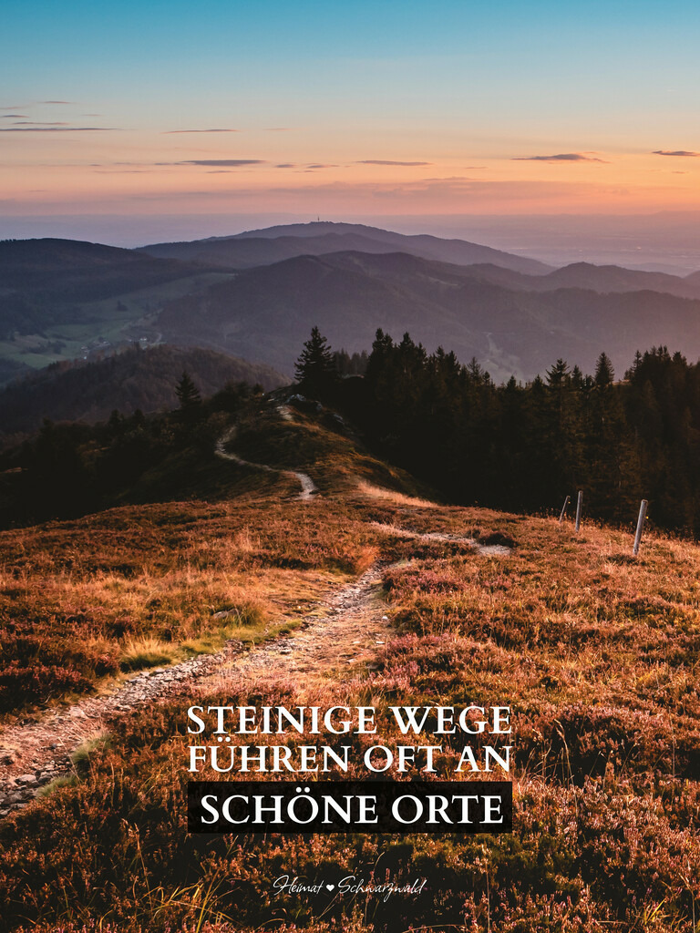 Edition “MOTIVATION” | Spruch: STEINIGE WEGE FÜHREN OFT AN SCHÖNE ORTE. Die Edition “MOTIVATION” bringt den Spirit des Schwarzwaldes zu Ihnen nach Hause. Wählen Sie Ihren Lieblingsspruch aus zehn unterschiedlichen Varianten. Perfekt für Ihr eigenes Zuhause oder als Geschenk für heimatverliebte Freunde.
 - Realisiert mit Pictrs.com