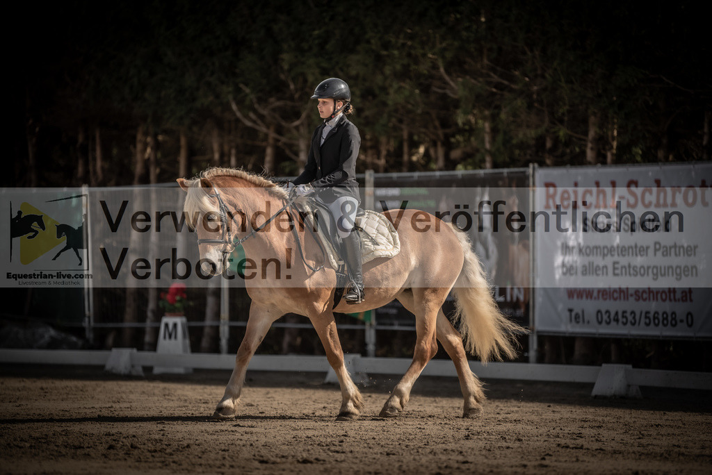 DSC_8737 | equestrian-live-com