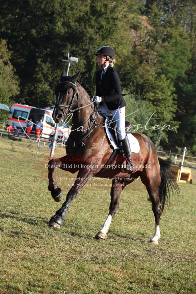 DSC_5035 | Pferde- und Turnierfotografie in Westsachsen. Pferdeportraits, Auftragszeichnungen und intuitive Kunst.