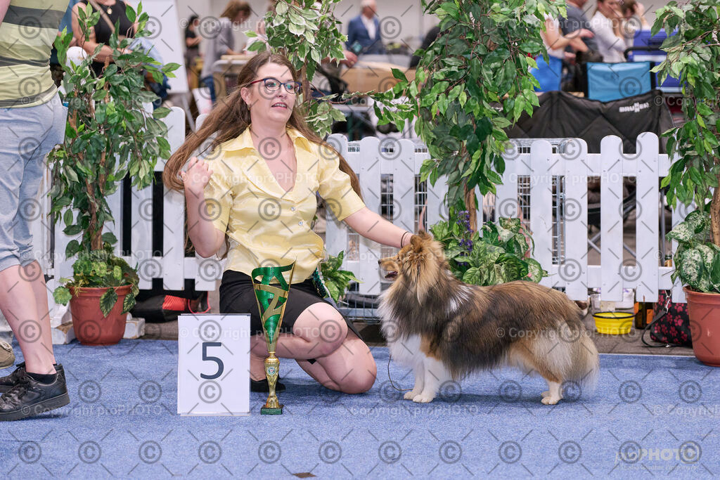 202406_ÖKV-IHA-Tulln24_NZ9_8647 | proPHOTO - Realisiert mit Pictrs.com