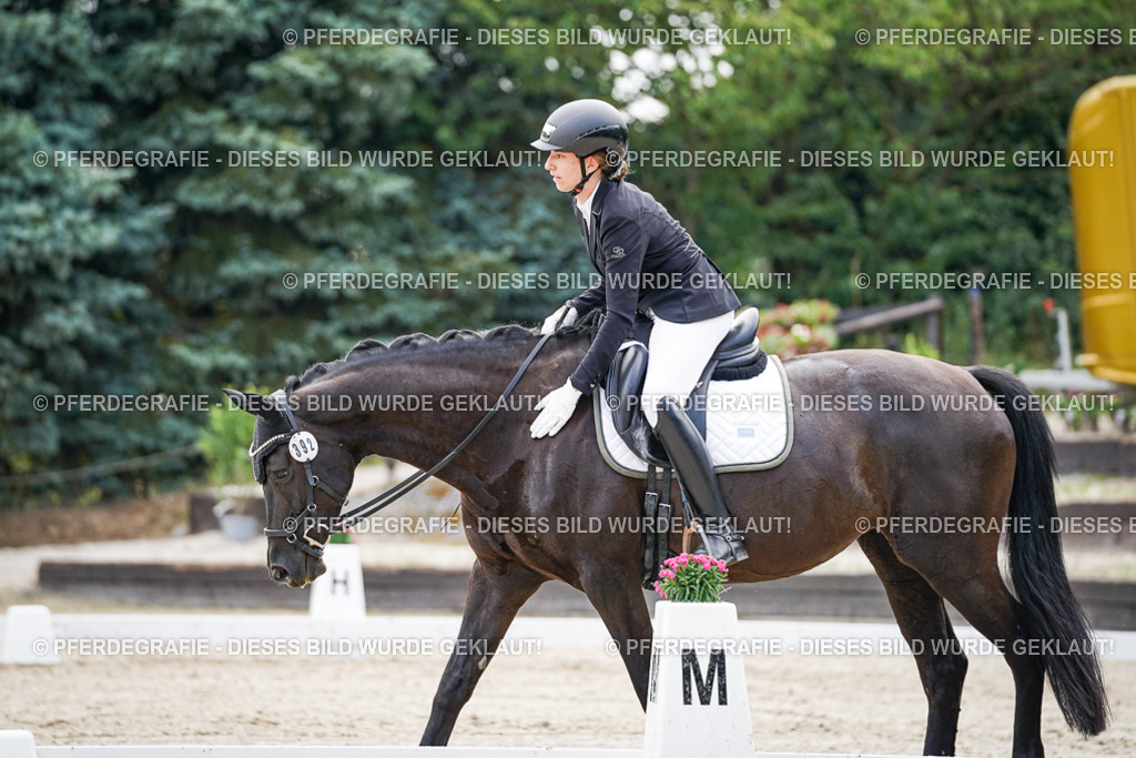 DSC00565 | Pferdegrafie