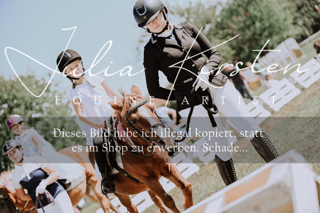 DSC_8862 | Pferde- und Turnierfotografie in Westsachsen. Pferdeportraits, Auftragszeichnungen und intuitive Kunst.