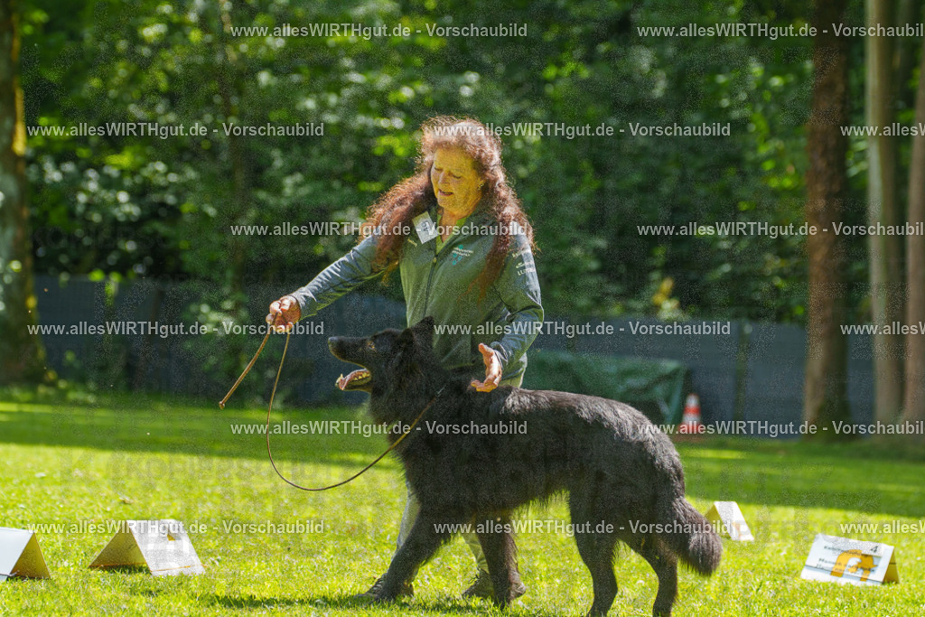 @allesWIRTHgut_Tierfotografie - www.allesWIRTHgut.de - 7R505683 | Professionelle Tierfotografie in Mönchengladbach von Daniel Wirth (allesWIRTHgut). Liebevolle & natürliche Bilder von Hunden & Katzen für unvergessliche Erinnerungen.