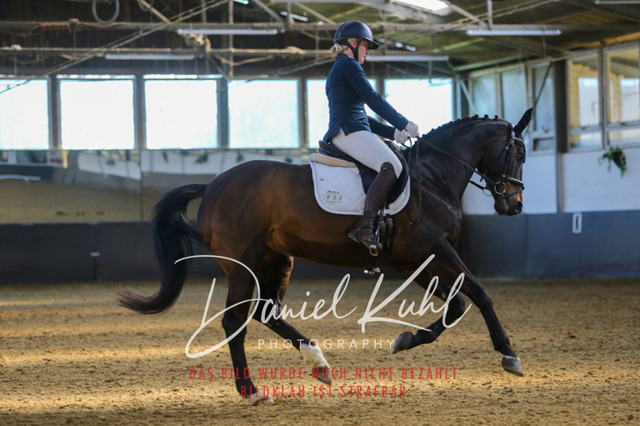 IMG_3001 | Turniersportfotografie; Pferdefotografie; Dressurfotografie