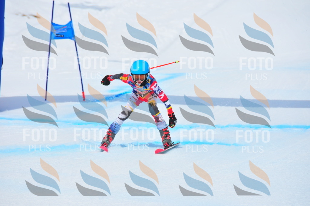 DSC_6478 | holidayphoto