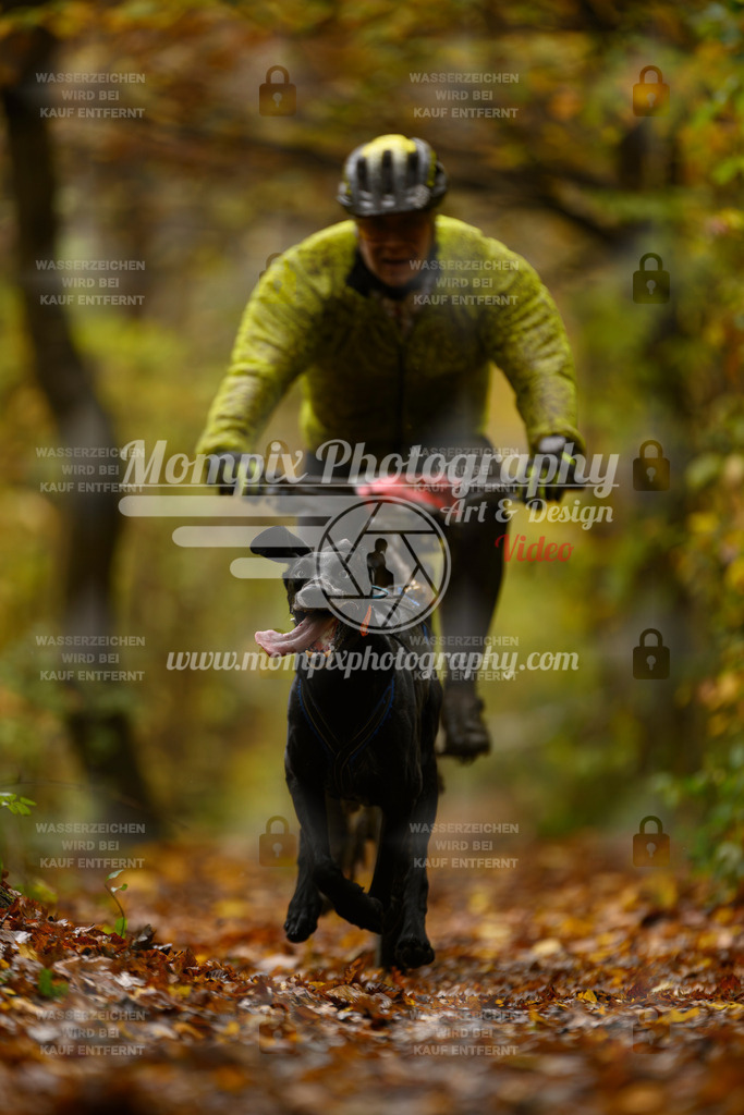 MompixPhotography_CD7S_DI_Bike-3 | mompixphotography