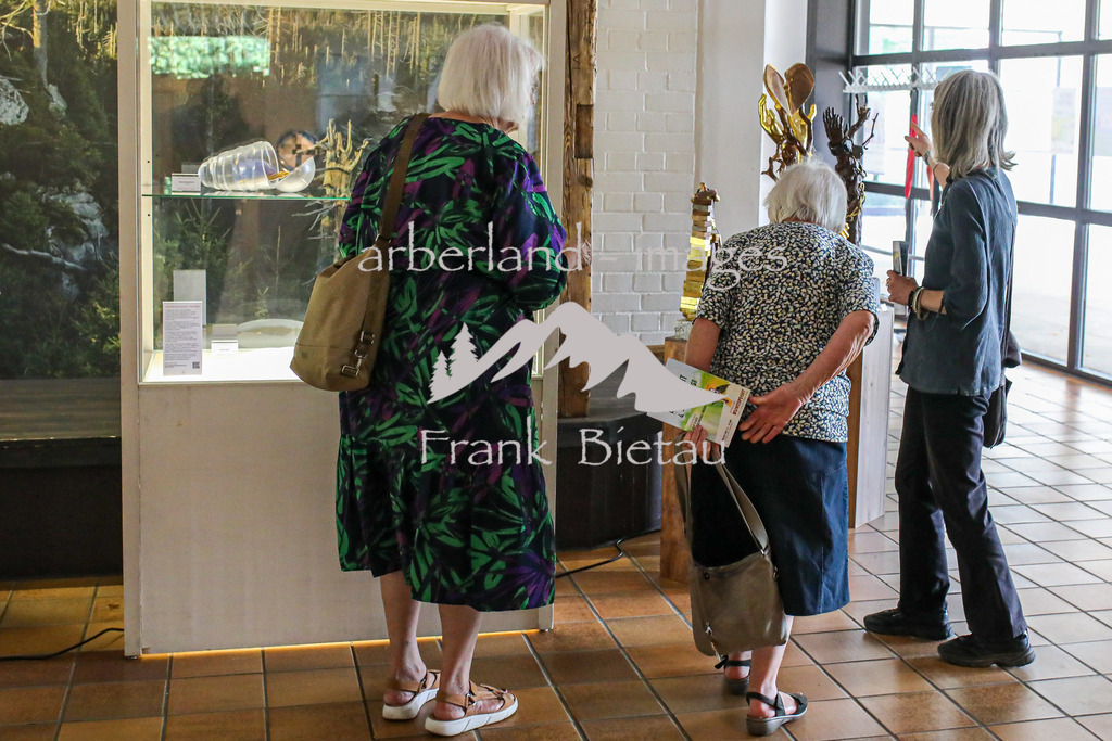 OE7A2455 | Medien- Sport- Entertainmentfotos