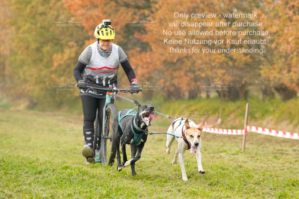 Visbeck_Sa_DS2DR2-115 | stephaniefillaphotographie - Realisiert mit Pictrs.com