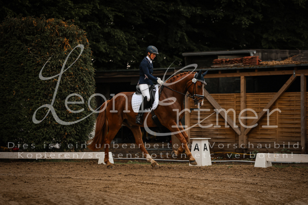 17.SoDrL00195 | Leoni Ertmer Photography - Realisiert mit Pictrs.com