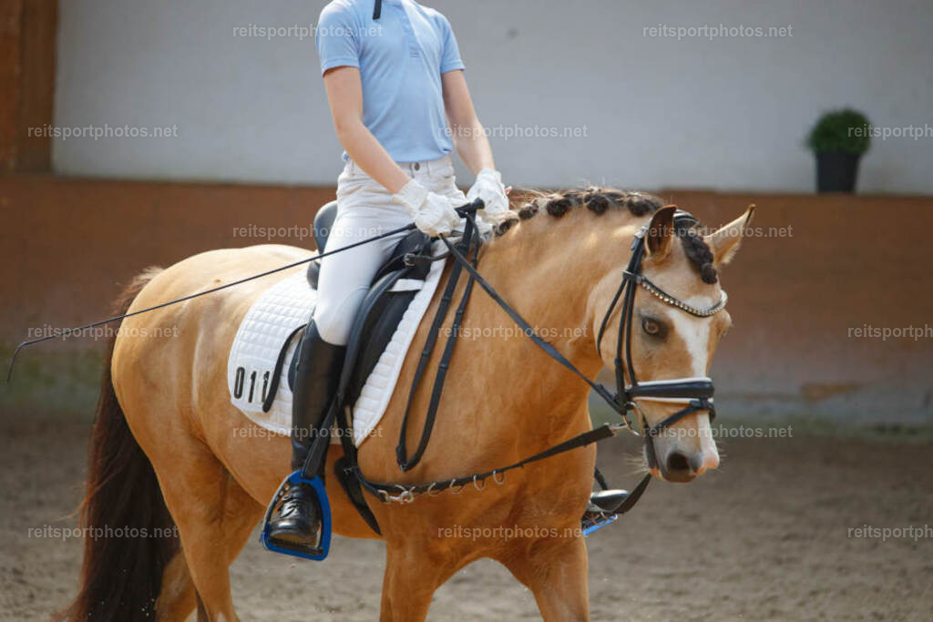 JHE_5381 | JoYa Fotografie - Realisiert mit Pictrs.com