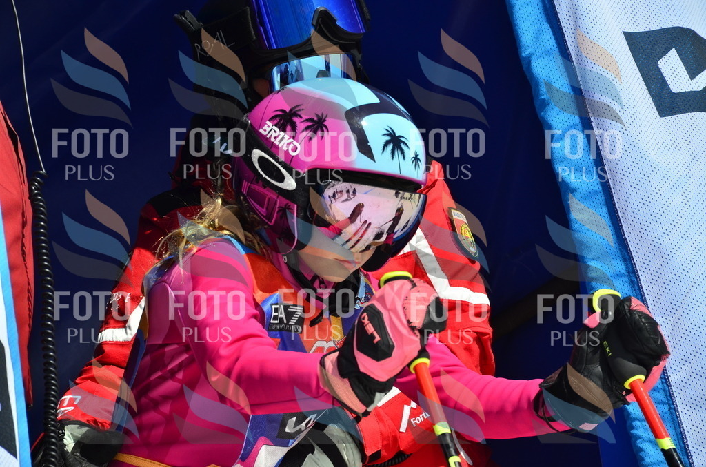 _ELE0301 | holidayphoto