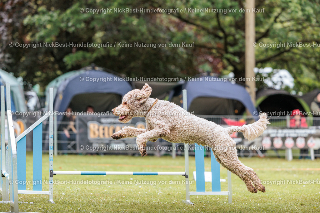 RO-Blumenthal-2026-Nickbest-Hundefotografie-4223 | Dein Hund! Dein Moment! Deine Erinnerungen! Hundefotografie in Bremen Blumenthal. Ich fange die besonderen Momente deines Vierbeiners ein – ob Indoor mit Blitzanlage oder in der freien Natur. Sicher dir dein Moment und dein Termin für eure Erinnerungen.